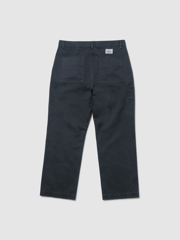 WORKER 1 PINCE
